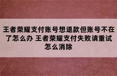 王者荣耀支付账号想退款但账号不在了怎么办 王者荣耀支付失败请重试怎么消除